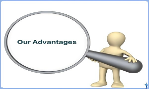Our advantage